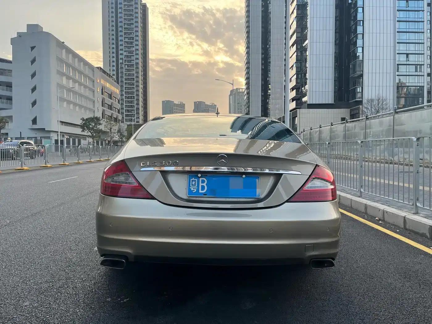 Mercedes-Benz CLS 2009 CLS 300 — миниатюра 5