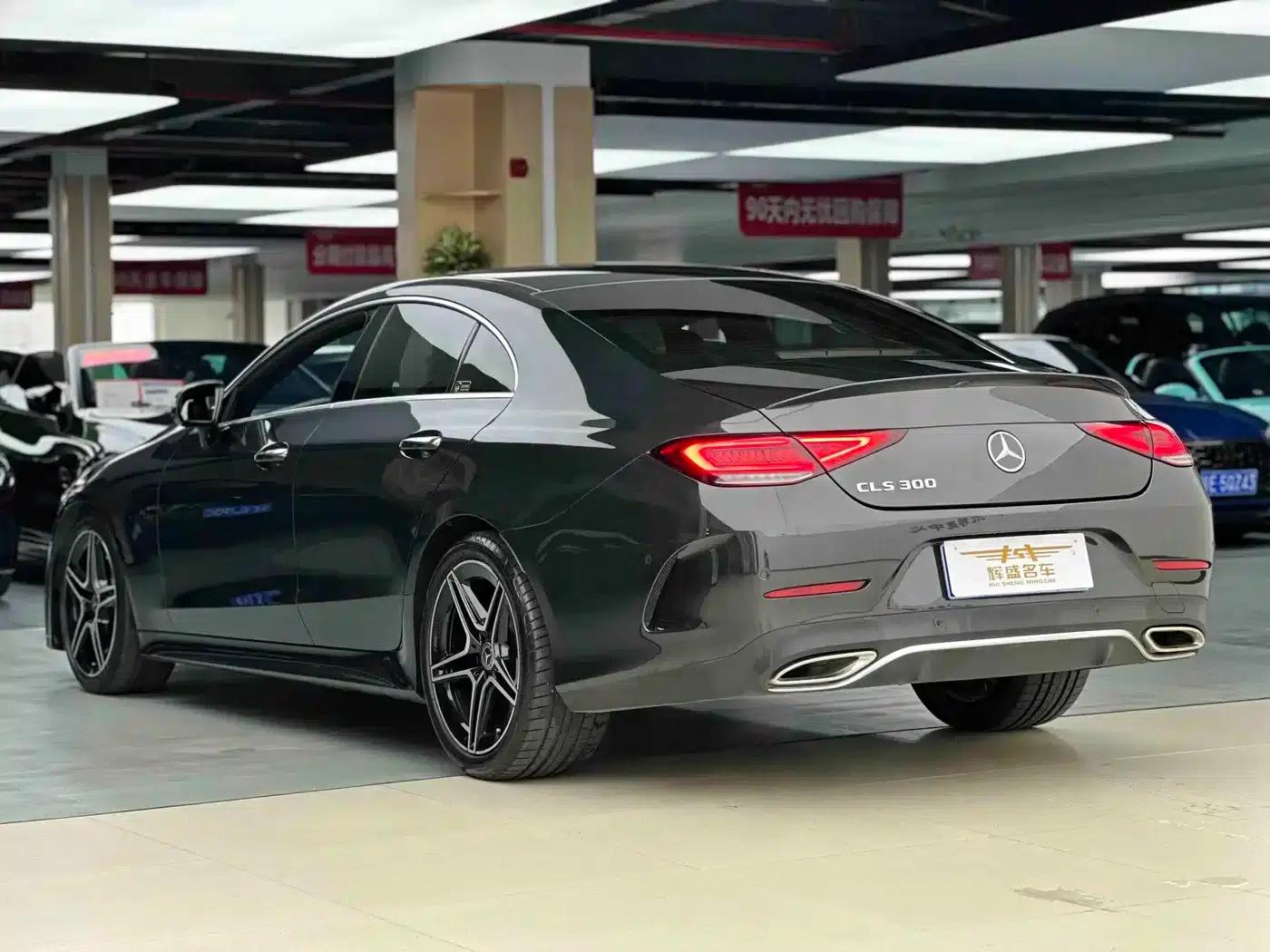 Mercedes-Benz CLS 2022 CLS 300 Luxury — миниатюра 8