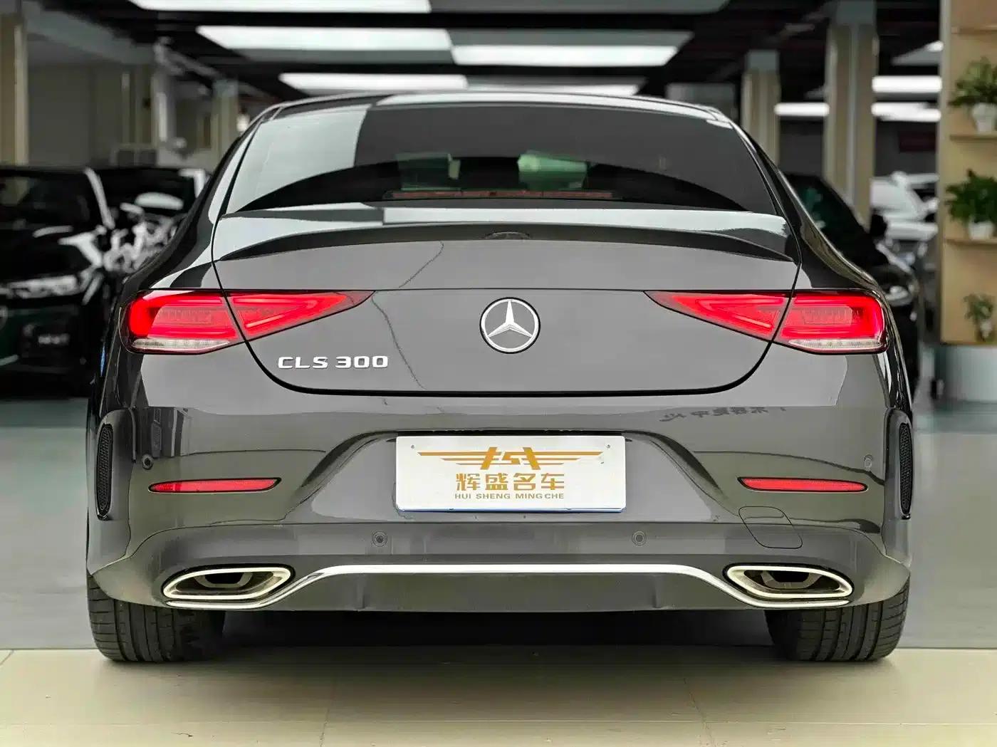 Mercedes-Benz CLS 2022 CLS 300 Luxury — миниатюра 9