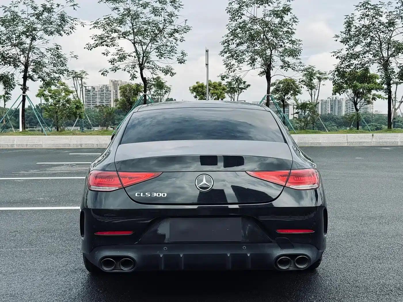 Mercedes-Benz CLS 2018 CLS 300 Luxury — миниатюра 5