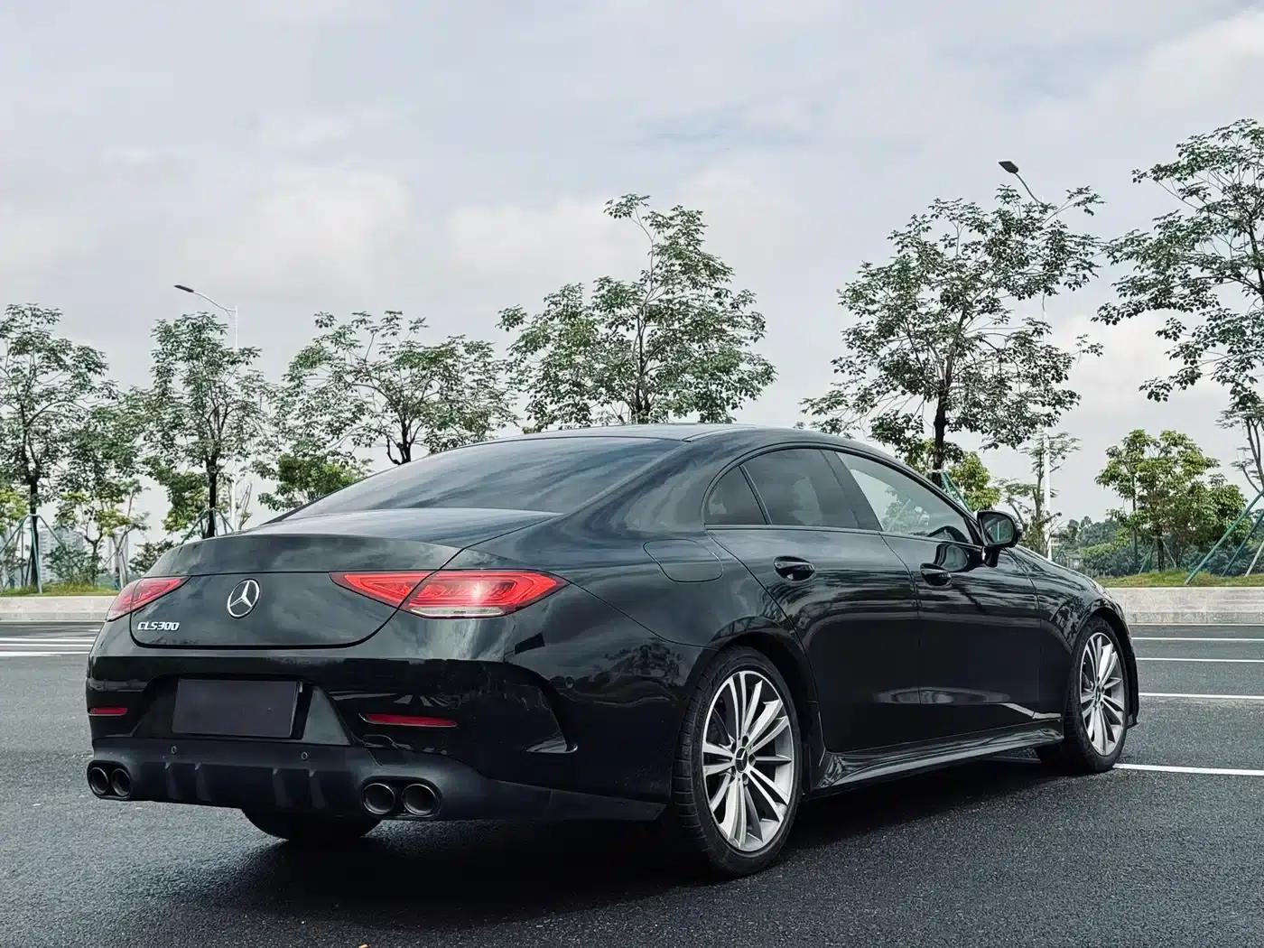Mercedes-Benz CLS 2018 CLS 300 Luxury — миниатюра 6