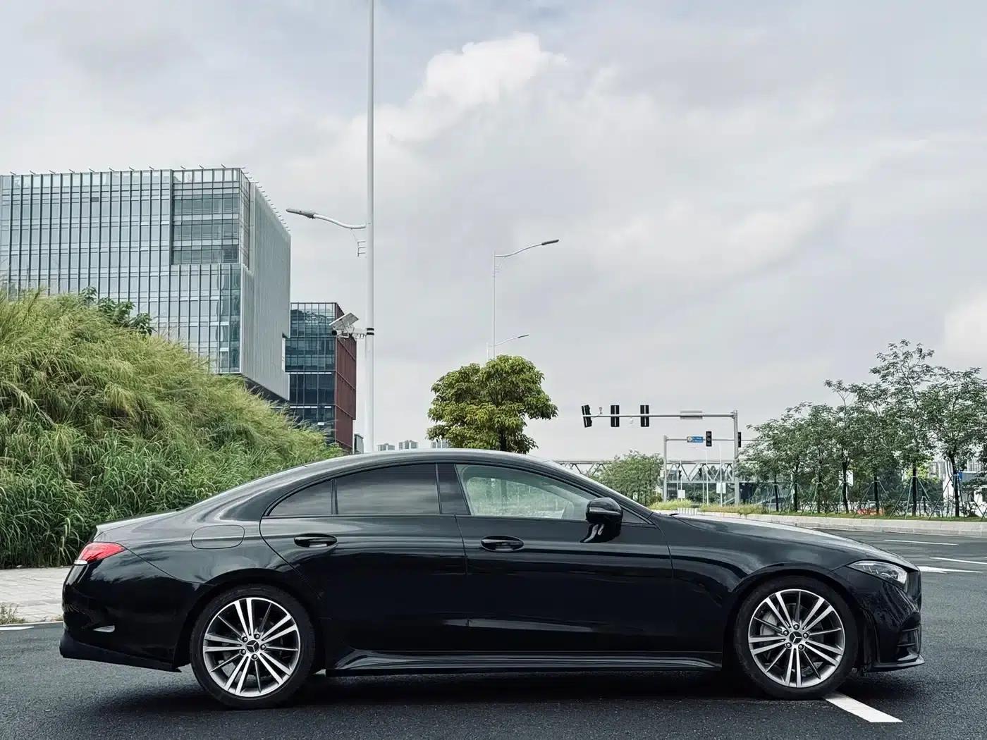 Mercedes-Benz CLS 2018 CLS 300 Luxury — миниатюра 8