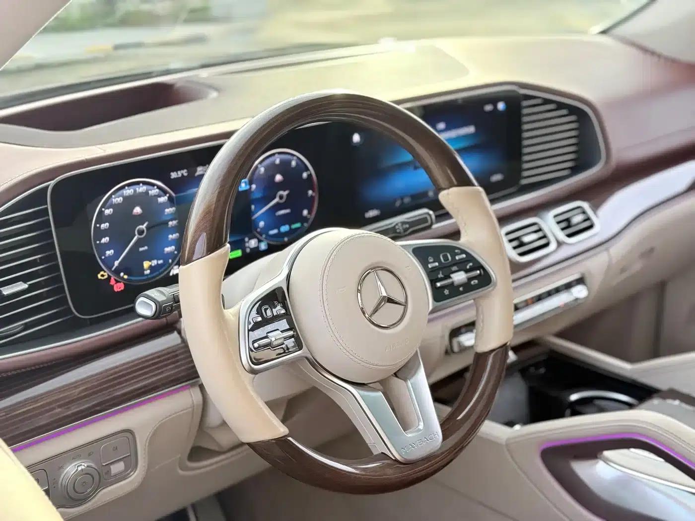 2022 Maybach GLS 600 4MATIC Elegant Edition — миниатюра 14