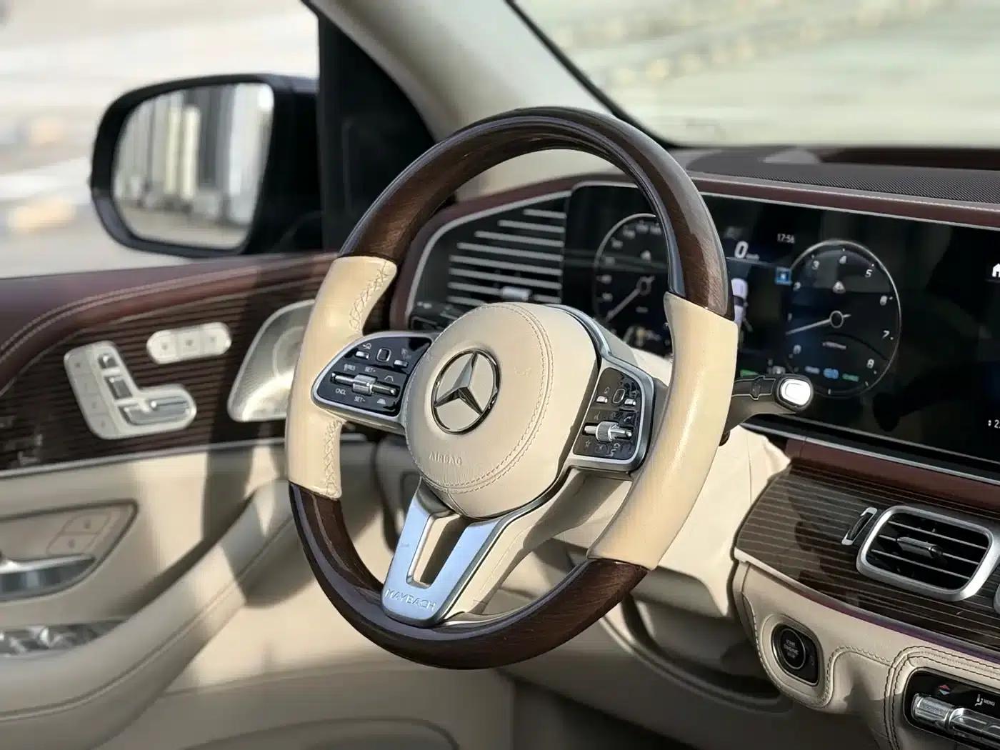 2022 Maybach GLS 600 4MATIC Elegant Edition — миниатюра 10