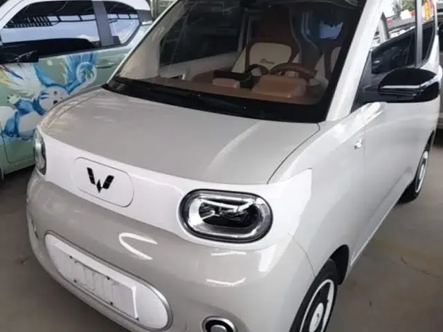 Wuling Hongguang MINIEV 2024 3rd Generation 215km Youth Edition