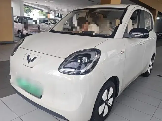 Wuling Hongguang MINIEV 2025 Four-Door Version Premium Edition