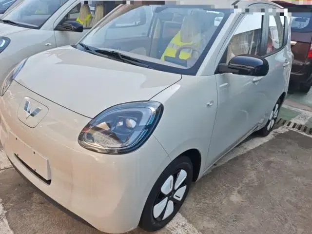 Wuling Hongguang MINIEV 2025 Four-Door Version Advanced Edition