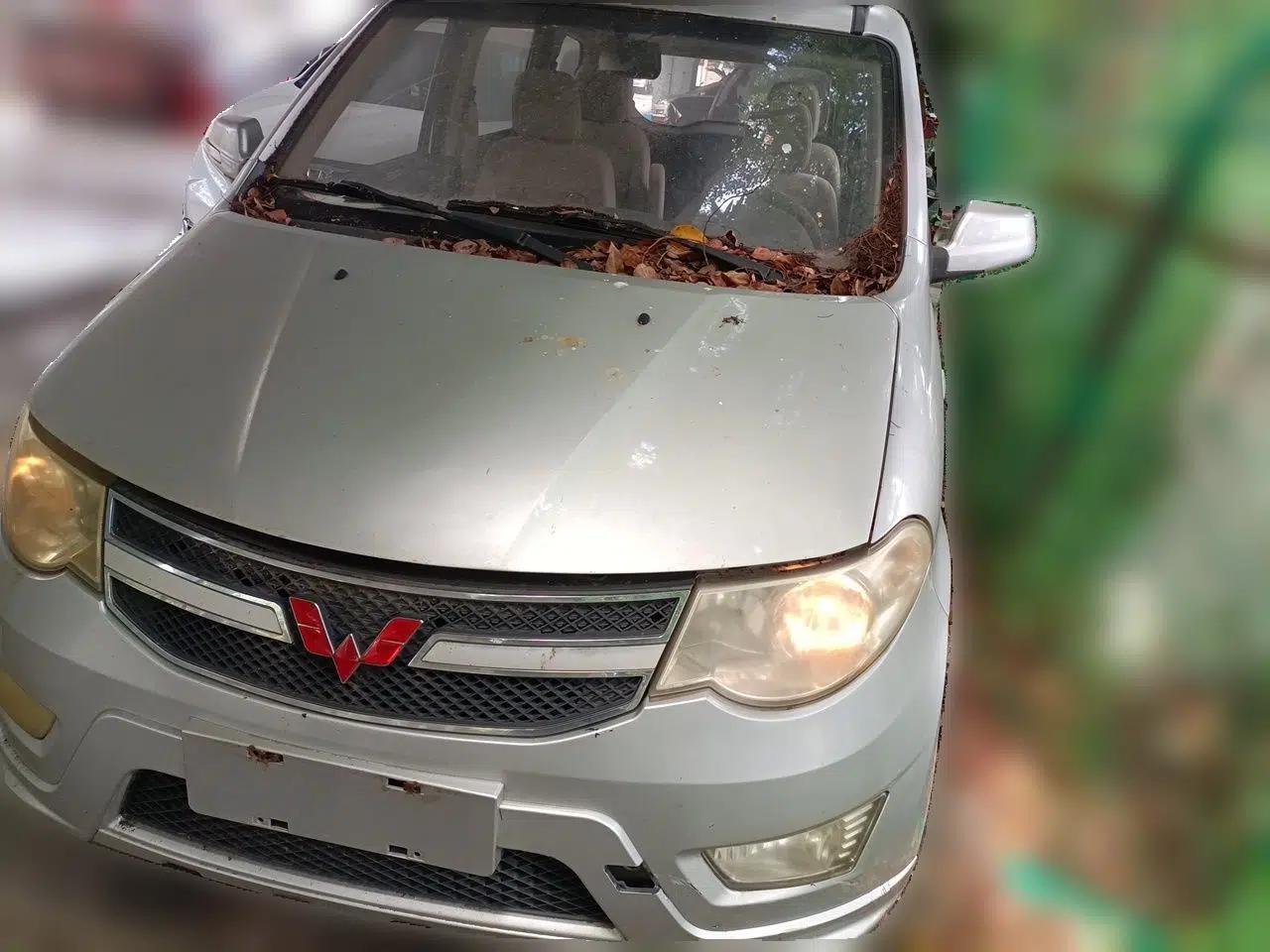 Wuling Hongguang 2014 1.5L S Standard Version — миниатюра 1
