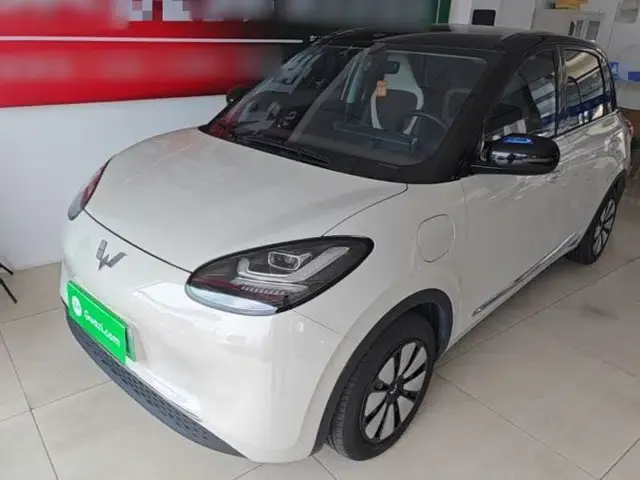 Wuling Bingo 2024 333 km Enjoyment Version