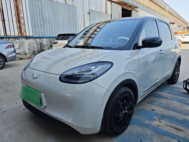 Wuling Bingo 2024 333 km Enjoyment Version