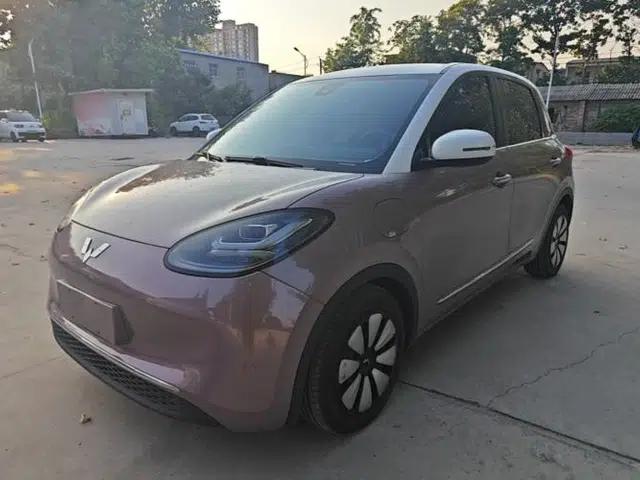Wuling Bingo 2023 333 km Lingxi Connected Version