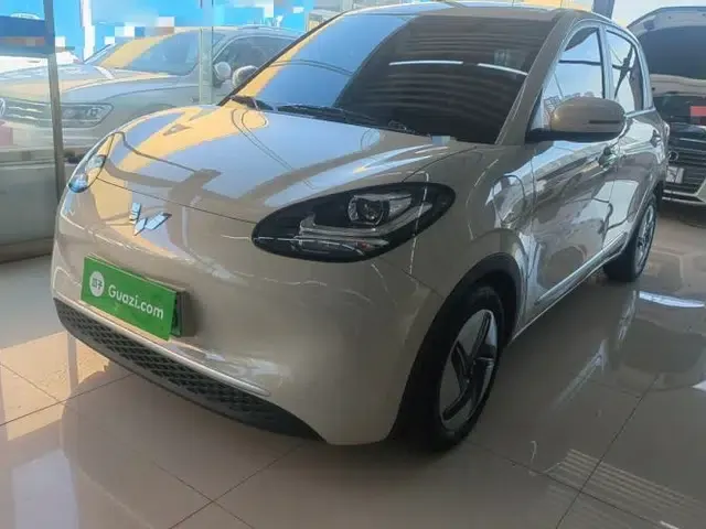 Wuling Bingo 2023 333 km Fast-Share Version