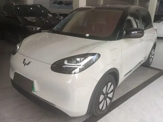 Wuling Bingo 2024 333 km Lingxi Connected Version