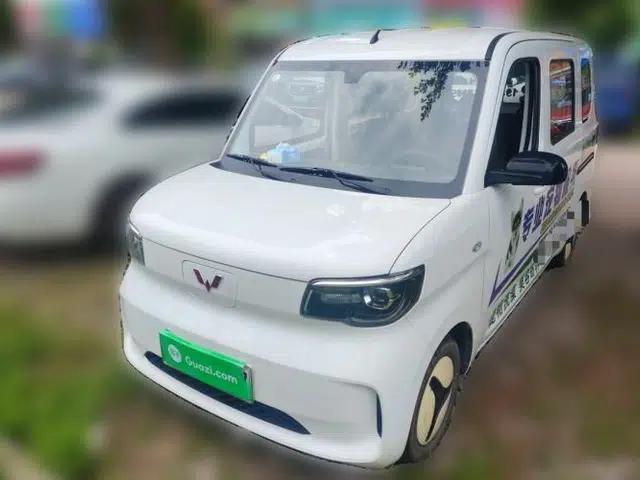 Wuling Zhiguang New Energy 2025 Standard Model