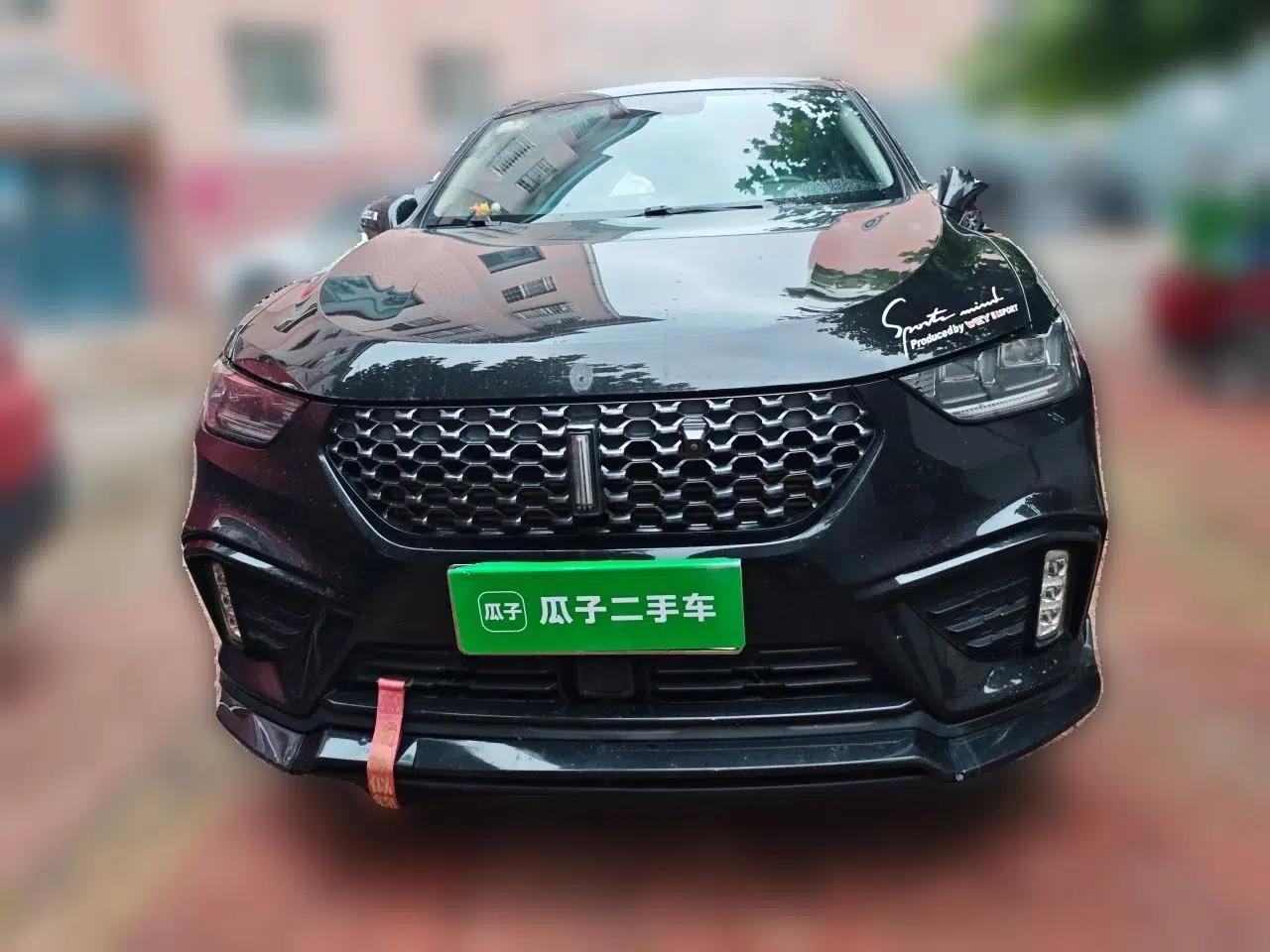 Wey VV5 2020 1.5T Two-Wheel Drive Smart Pioneer — миниатюра 2