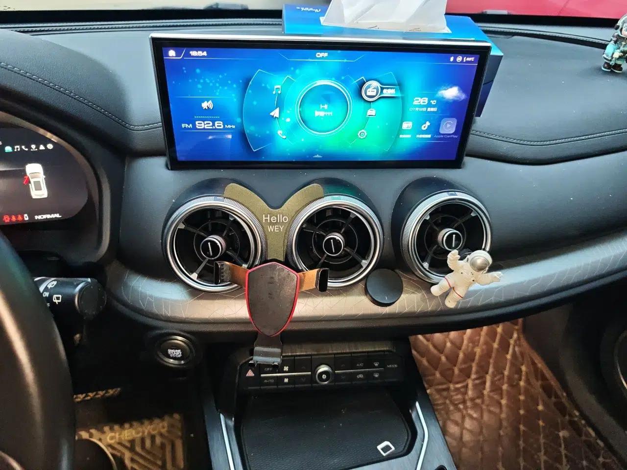 Wey VV5 2020 1.5T Two-Wheel Drive Smart Pioneer — миниатюра 13