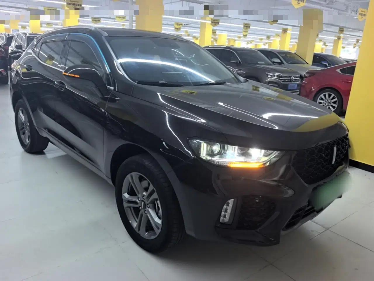 Wey VV5 2019 2.0T Two-Wheel-Drive Ultimate Edition — миниатюра 3