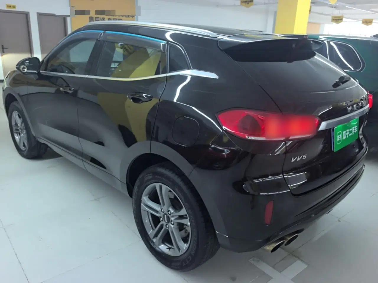 Wey VV5 2019 2.0T Two-Wheel-Drive Ultimate Edition — миниатюра 4