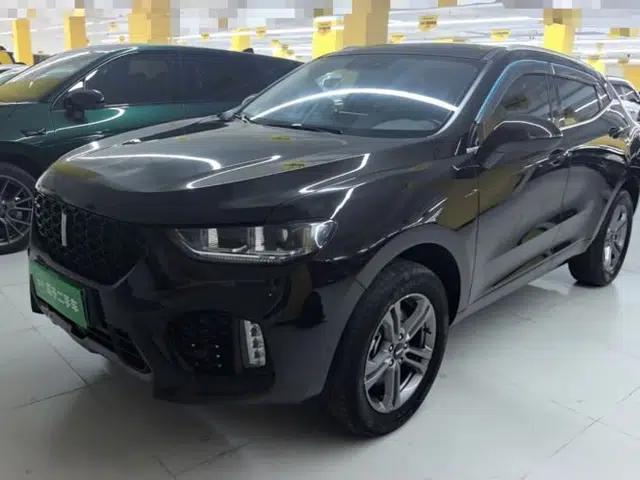 Wey VV5 2019 2.0T Two-Wheel-Drive Ultimate Edition