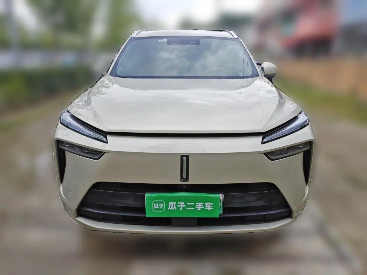 Wey Lanshan 2023 Four-Wheel Drive Ultra-Long Range Version — миниатюра 2