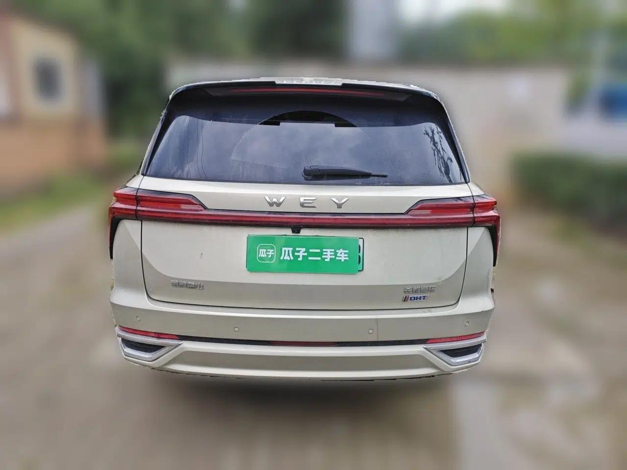 Wey Lanshan 2023 Four-Wheel Drive Ultra-Long Range Version — миниатюра 5