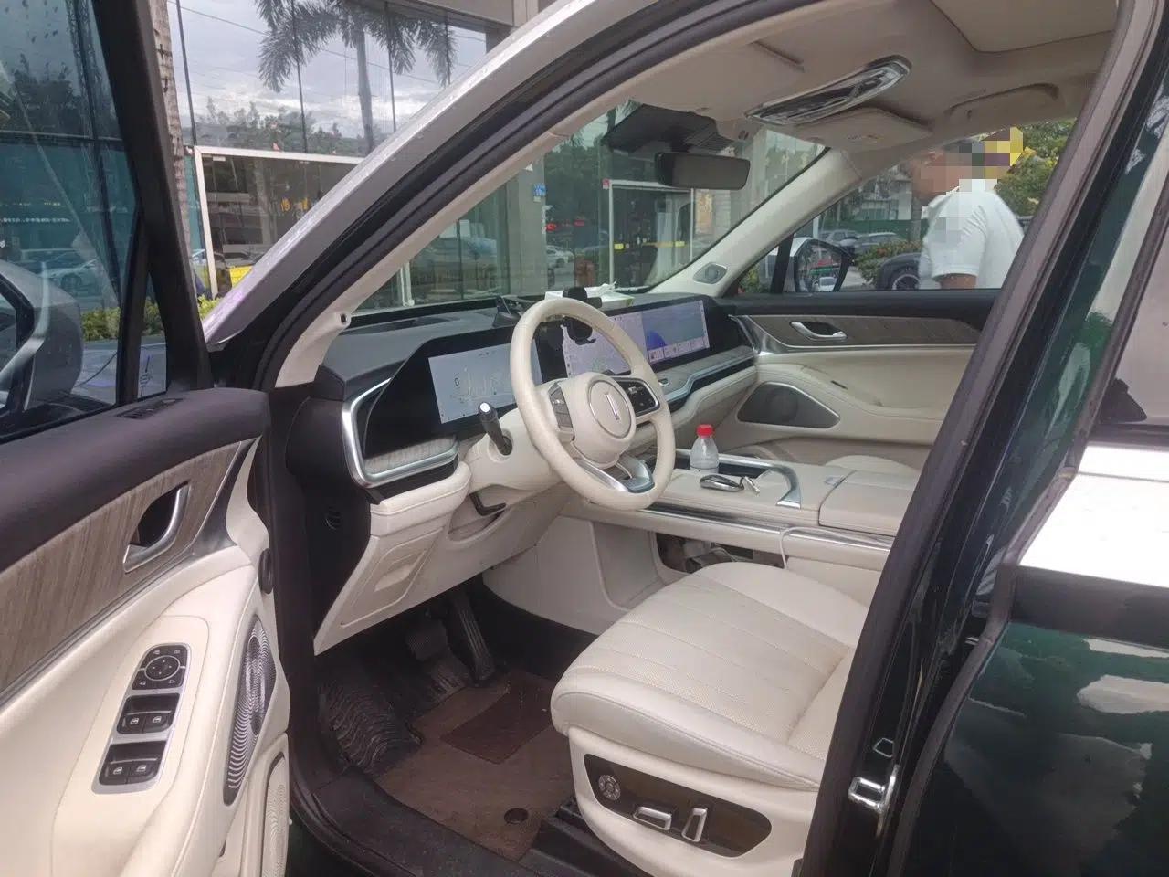 Wey Lanshan 2023 Four-Wheel Drive Ultra-Long Range Version — миниатюра 19