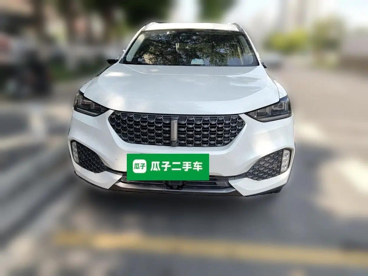 Wey VV6 2020 2.0T Two-Wheel Drive Smart Enjoyment+ — миниатюра 2