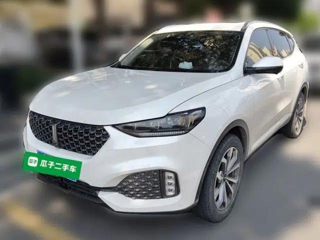 Wey VV6 2020 2.0T Two-Wheel Drive Smart Enjoyment+
