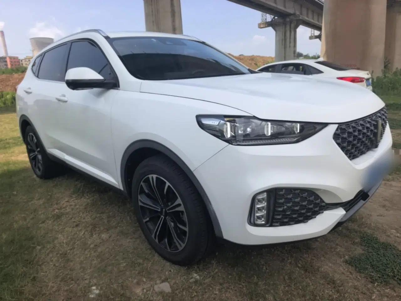 Wey VV6 2020 2.0T Two-Wheel Drive Smart Protection+ — миниатюра 3