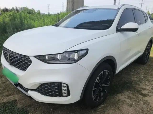 Wey VV6 2020 2.0T Two-Wheel Drive Smart Protection+
