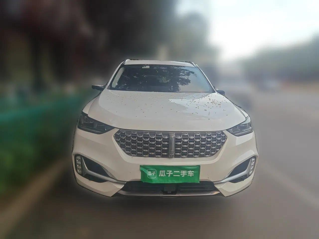 Wey VV6 2021 2.0T All-Wheel Drive Zhiyu+ — миниатюра 2