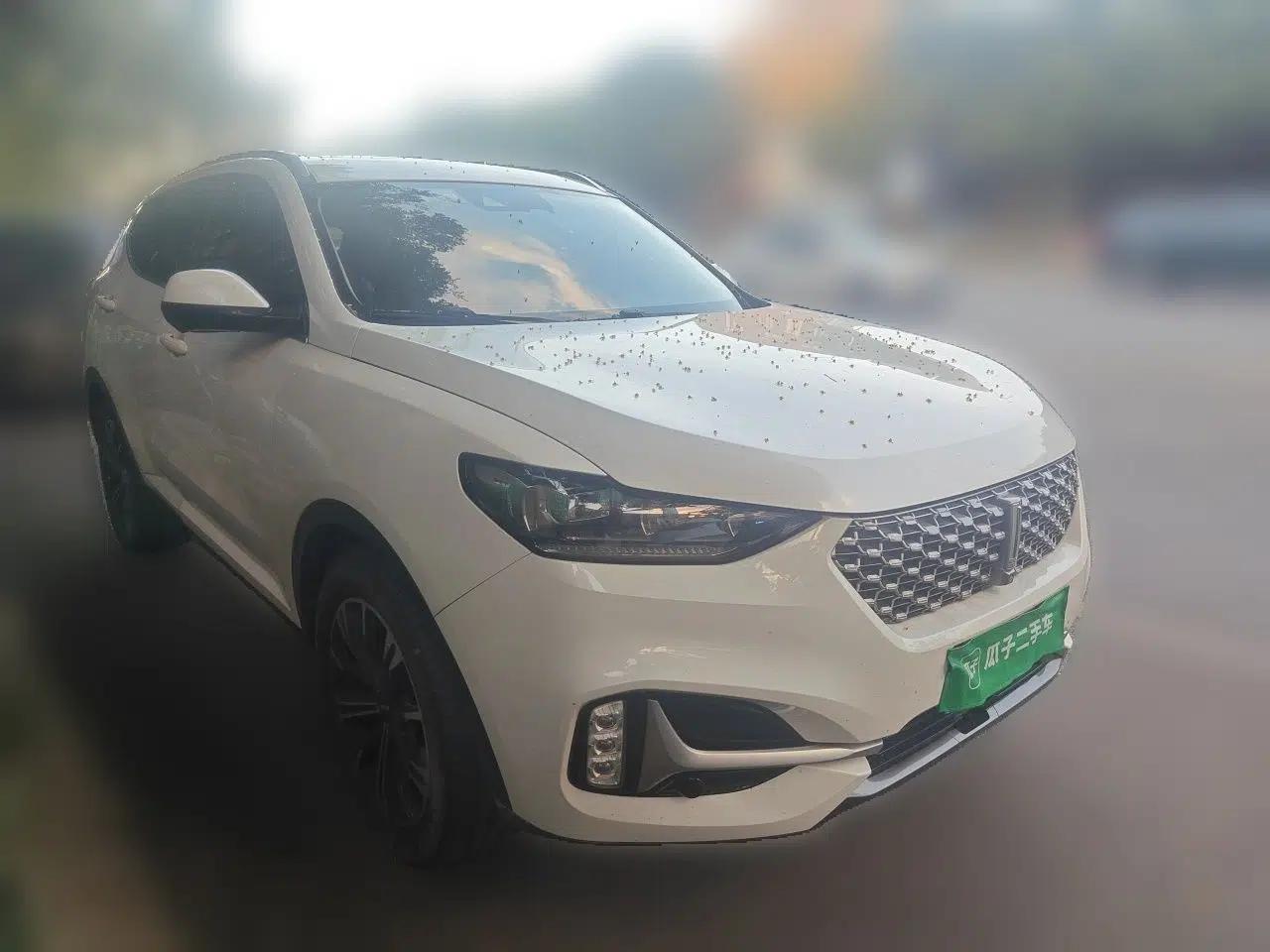 Wey VV6 2021 2.0T All-Wheel Drive Zhiyu+ — миниатюра 3