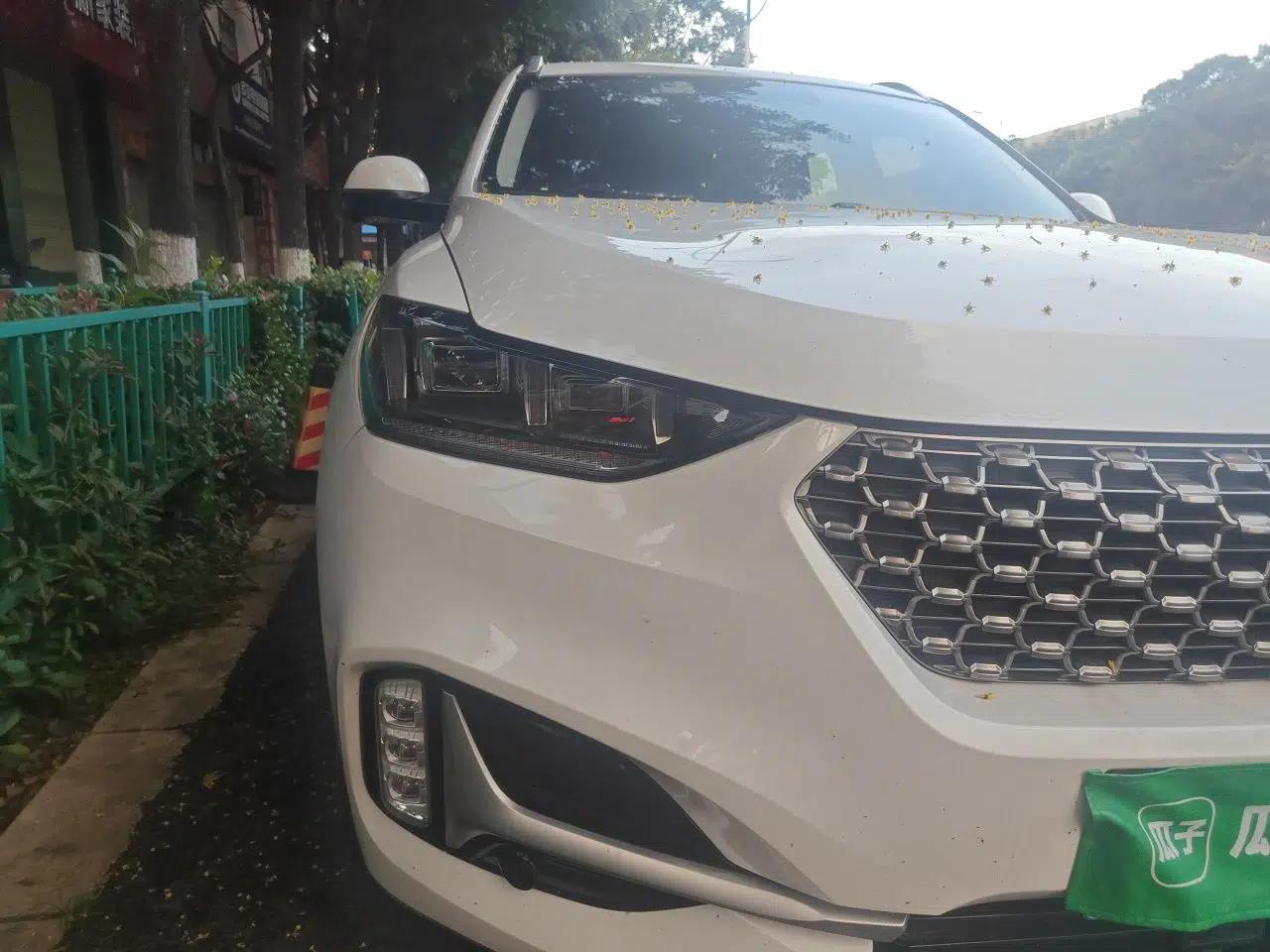 Wey VV6 2021 2.0T All-Wheel Drive Zhiyu+ — миниатюра 7