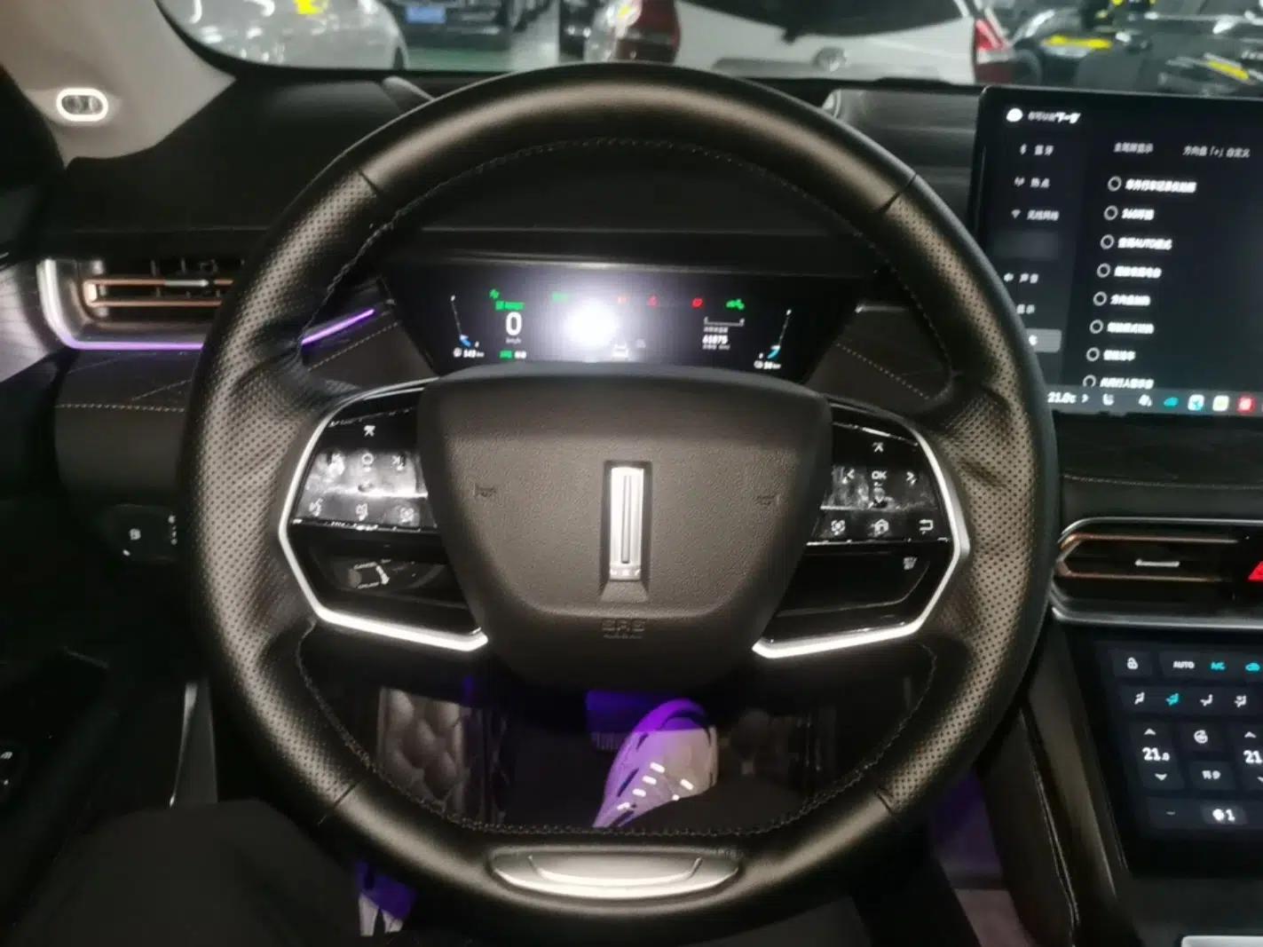 Wey Latte DHT-PHEV 2022 1.5T Two-Wheel-Drive Extra-Large Version — миниатюра 13