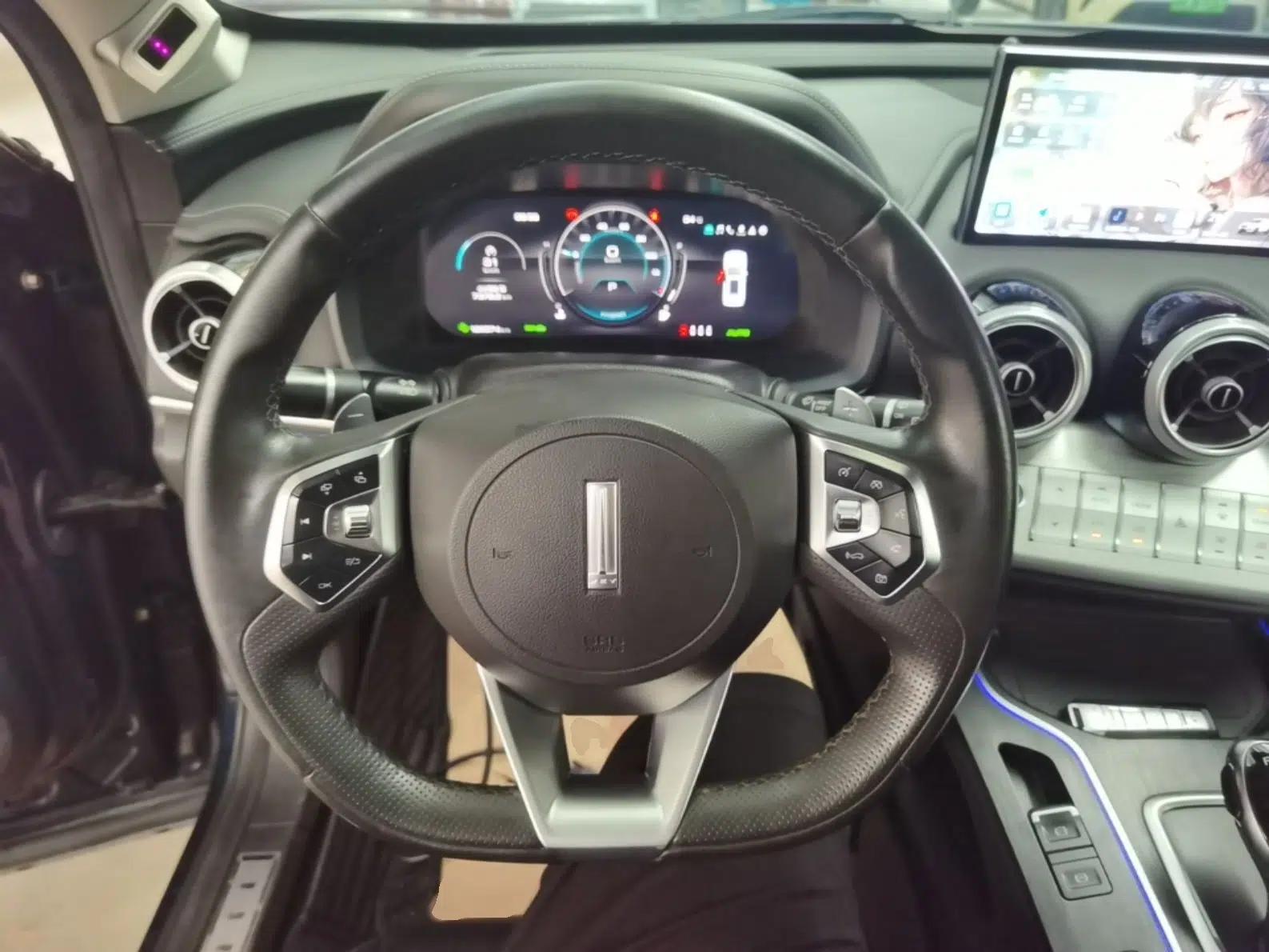 Wey VV7 New Energy 2020 PHEV 2.0T Flagship Model — миниатюра 13
