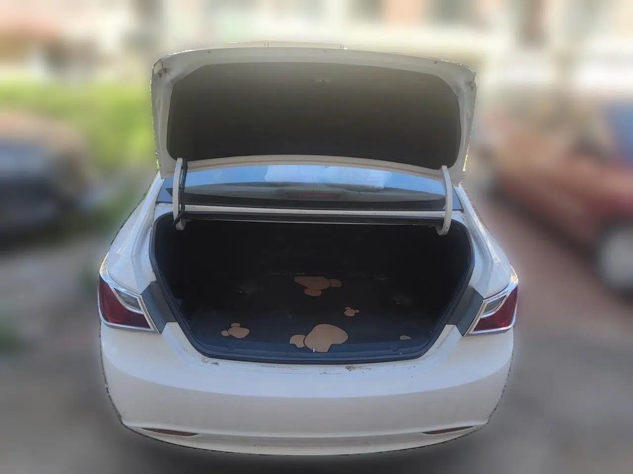 Hyundai Sonata 2011 2.0L Automatic Fashion Edition — миниатюра 19