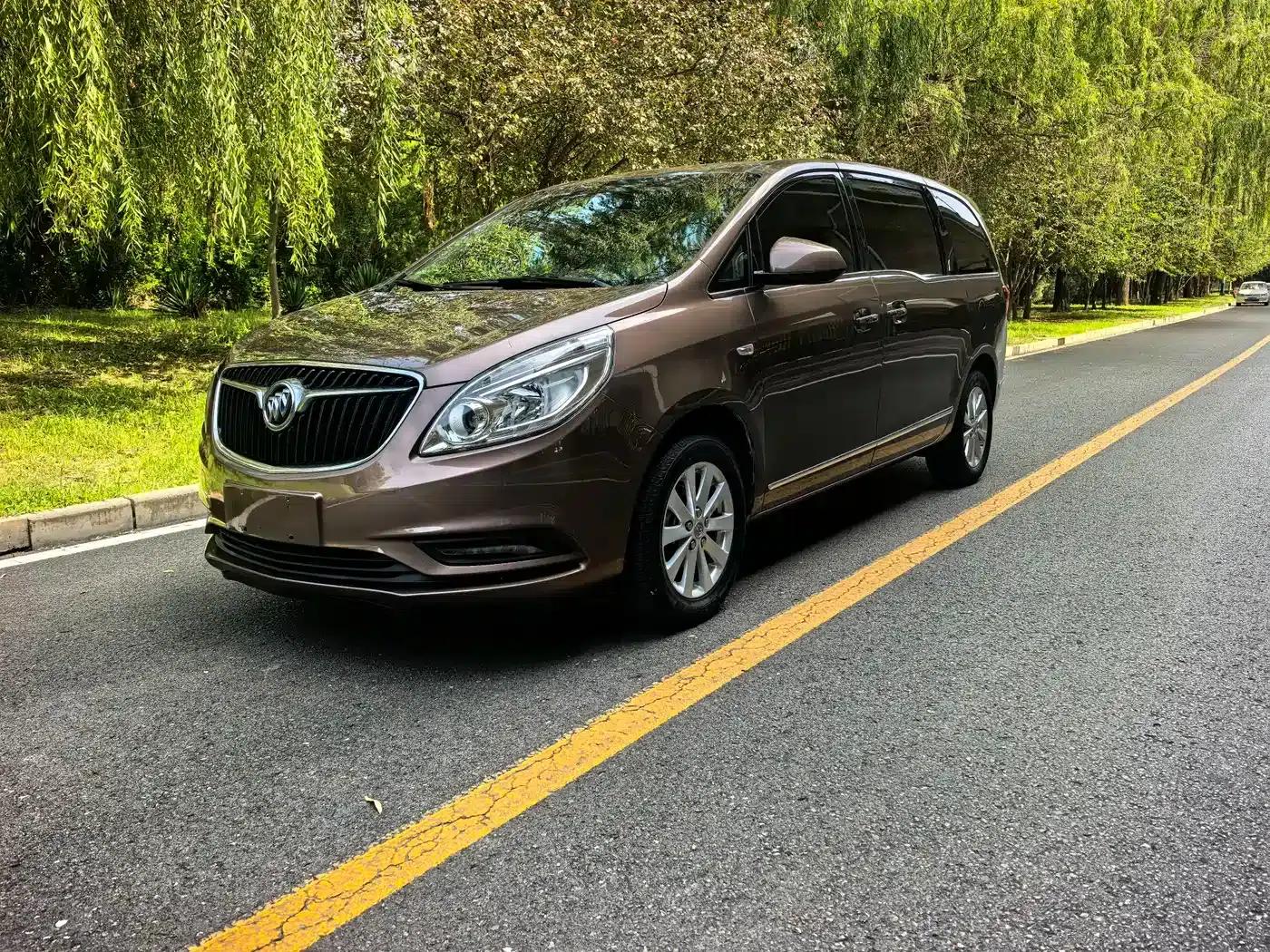 Buick GL8 2018 28T Luxury Edition (China VI Emission Standard) — миниатюра 1
