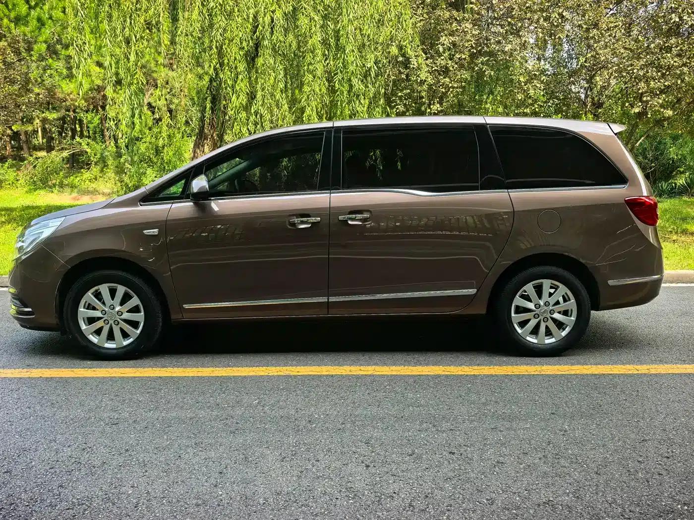 Buick GL8 2018 28T Luxury Edition (China VI Emission Standard) — миниатюра 3