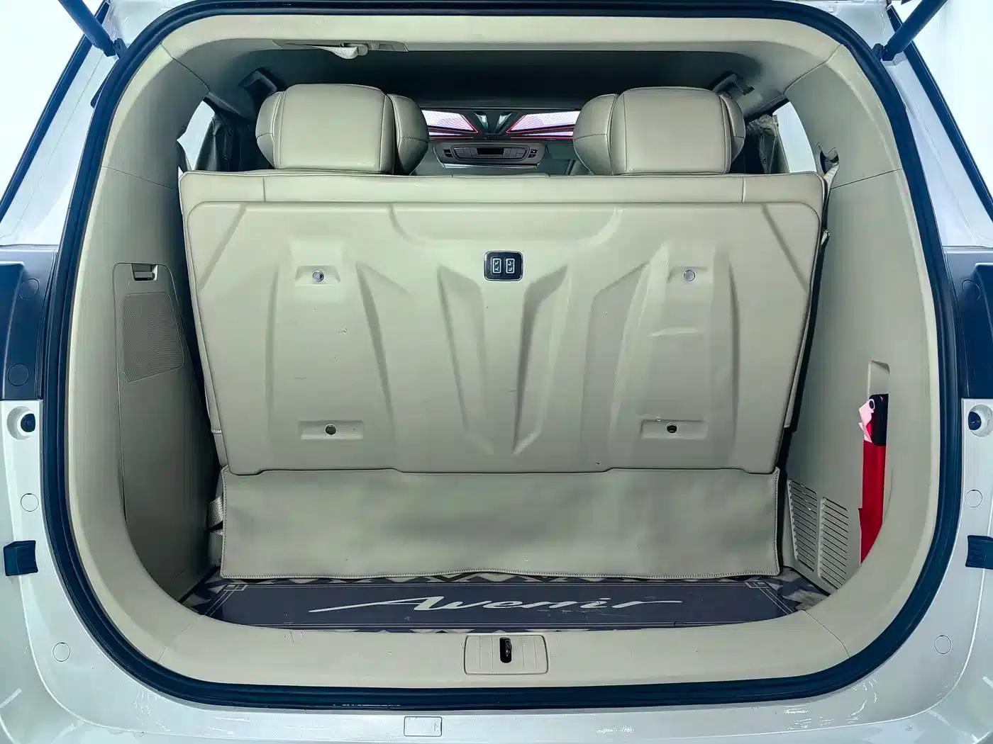 Buick GL8 2021 ES Avantgarde 653T Comfort — миниатюра 17