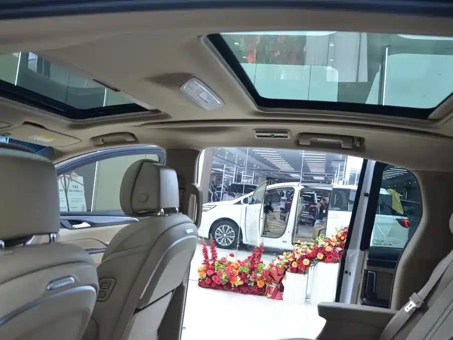 Buick GL8 2021 ES Avantgarde 653T Luxury — миниатюра 13