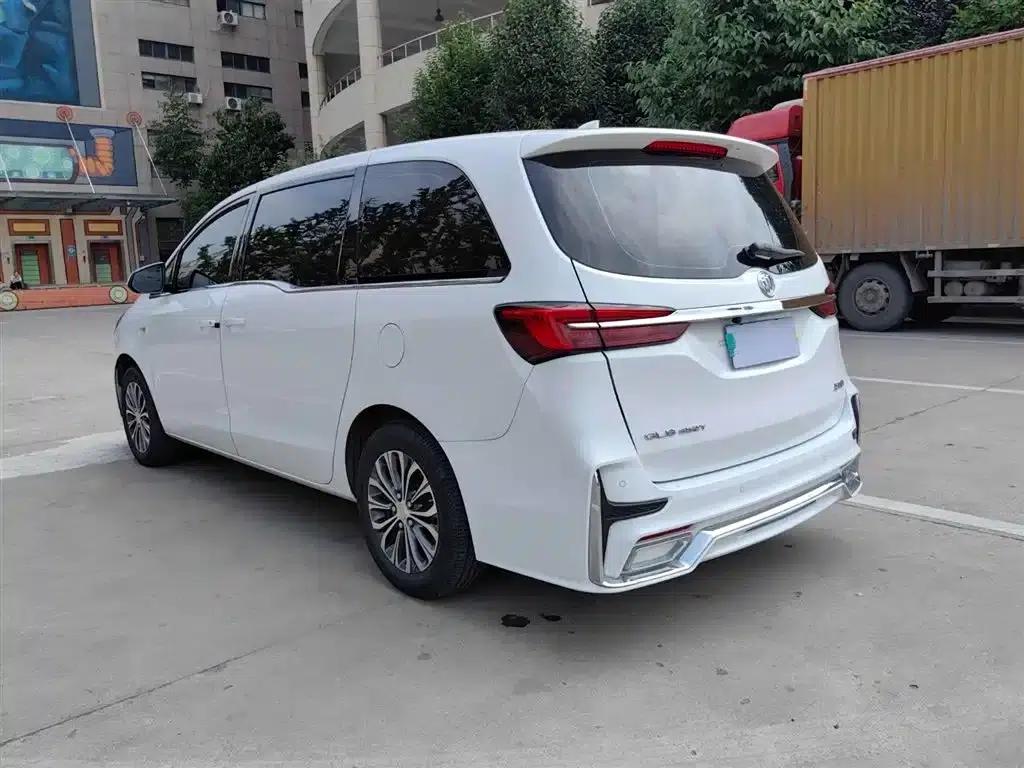 Buick GL8 2021 Land Business Class 652T Comfort — миниатюра 19