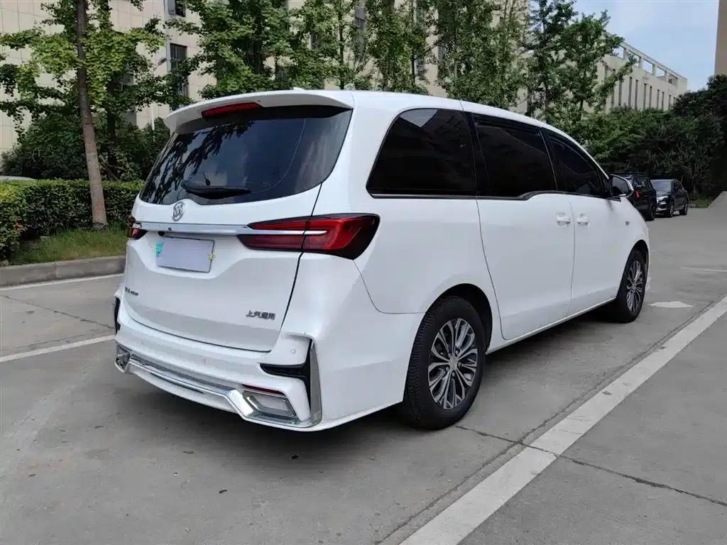 Buick GL8 2021 Land Business Class 652T Comfort — миниатюра 21