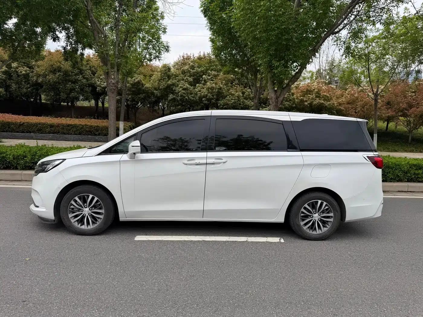 Buick GL8 2021 ES Avantgarde 653T Premium Edition — миниатюра 9