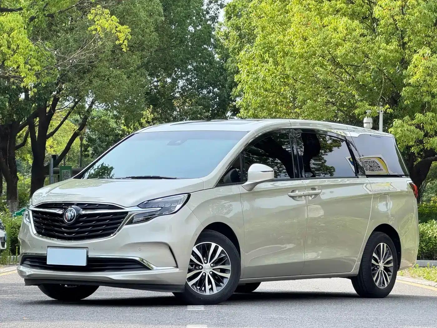 Buick GL8 2021 ES Avantgarde 653T Premium Edition — миниатюра 1