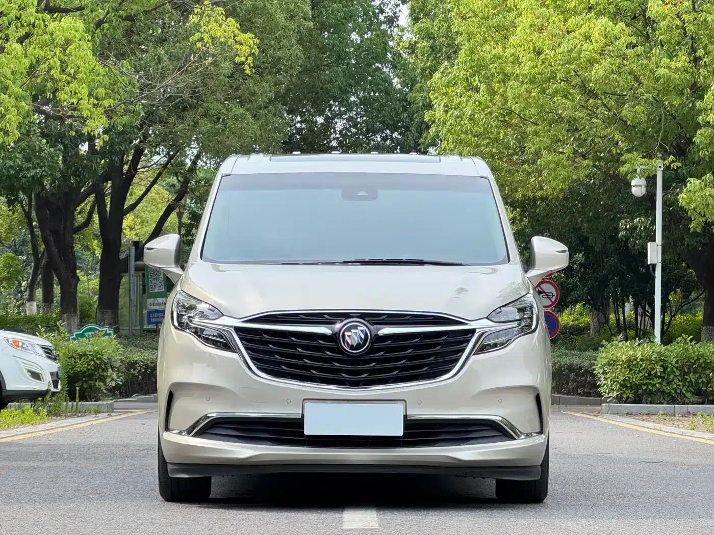 Buick GL8 2021 ES Avantgarde 653T Premium Edition — миниатюра 2