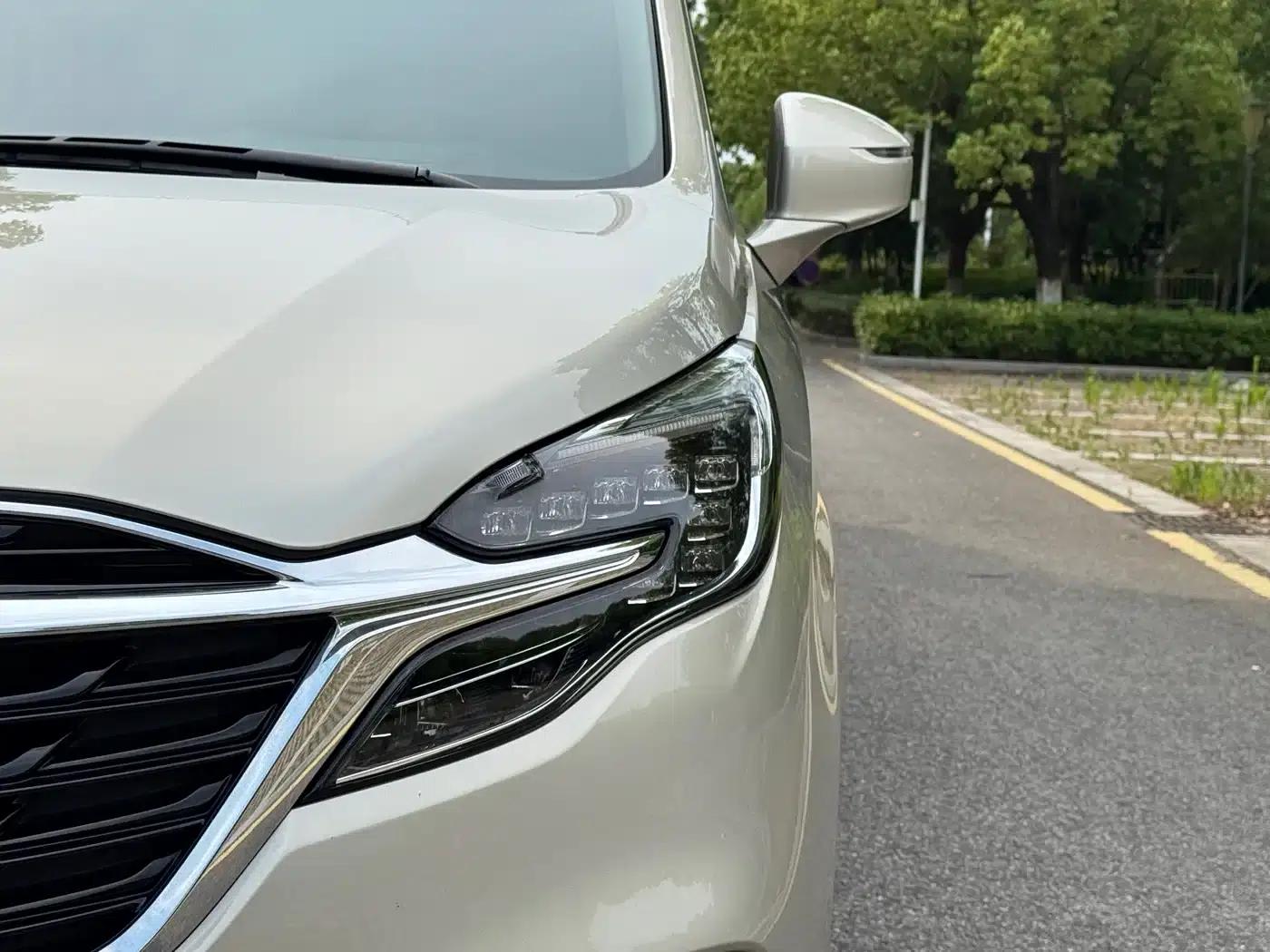 Buick GL8 2021 ES Avantgarde 653T Premium Edition — миниатюра 18