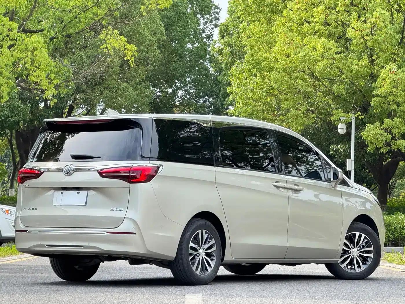 Buick GL8 2021 ES Avantgarde 653T Premium Edition — миниатюра 3