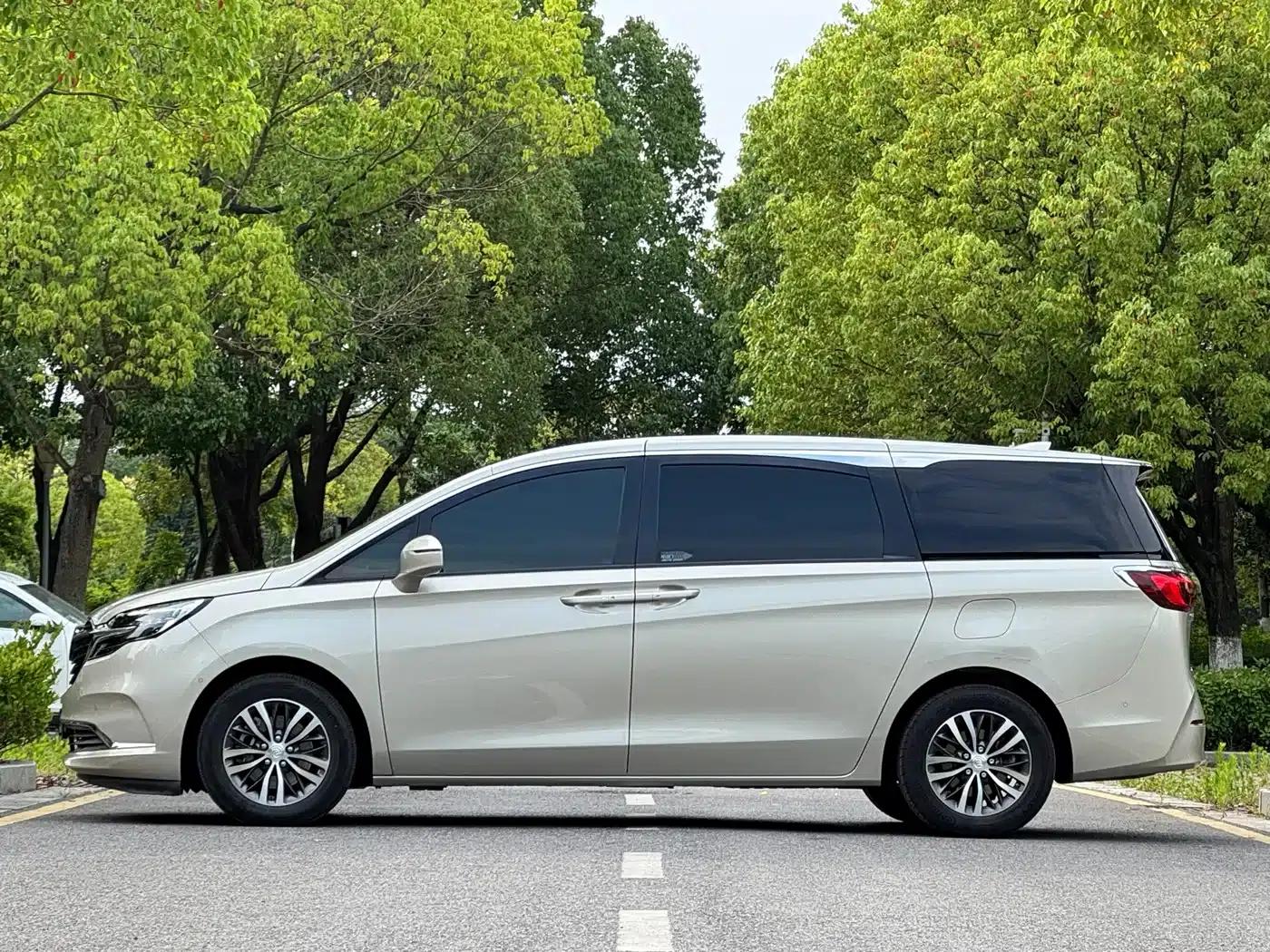 Buick GL8 2021 ES Avantgarde 653T Premium Edition — миниатюра 21