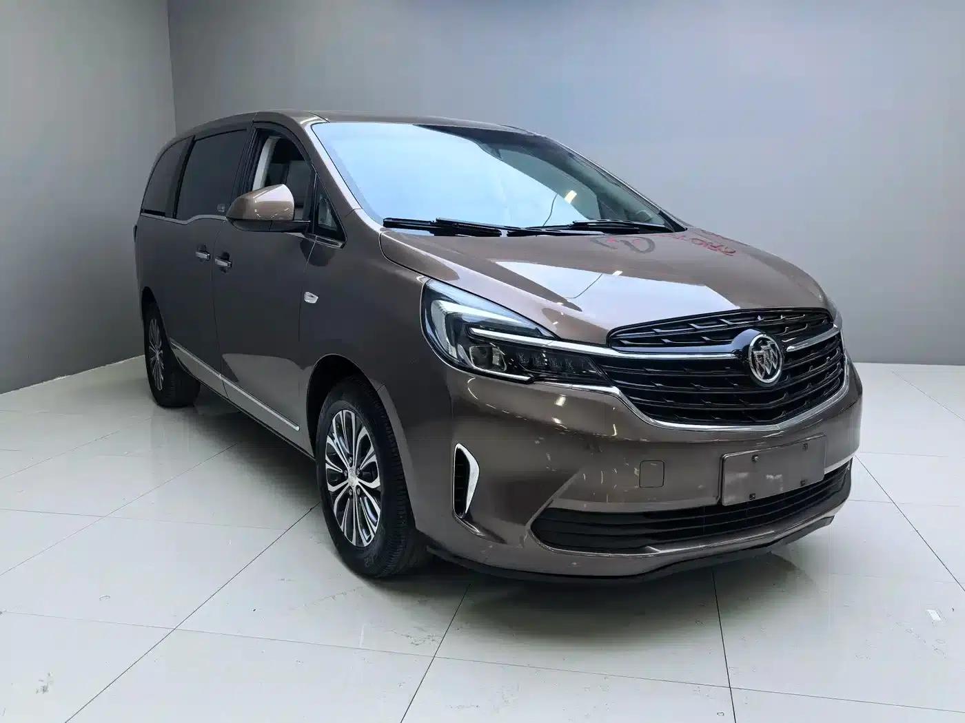 Buick GL8 2021 Land Business Class 652T Luxury — миниатюра 3