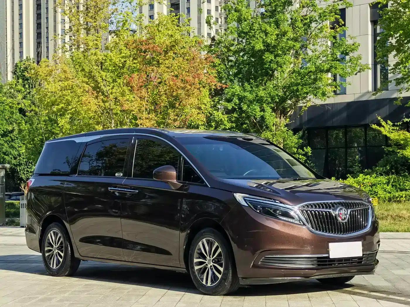 Buick GL8 2017 ES 28T Luxury Edition (National V Emission Standard) — миниатюра 3